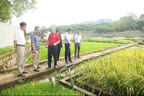 農業農村部科技發展中心調研祁陽站 聚焦前沿，共促農業技術創新發展
