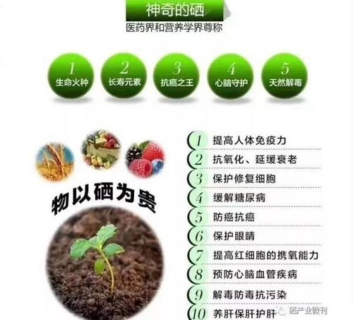 九溪九香 以富硒技術引領特色農業發展，推動現代農業高質量轉型