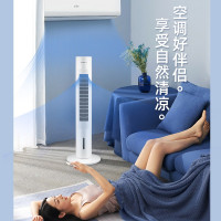 志高(CHIGO)1空調(diào)扇與格力(GREE)KS-06X71Dg空調(diào)扇深度對(duì)比評(píng)測(cè) 誰(shuí)才是你的夏日性價(jià)比之王？